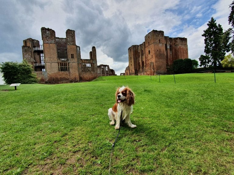 Kenilworth Castle Dog Friendly