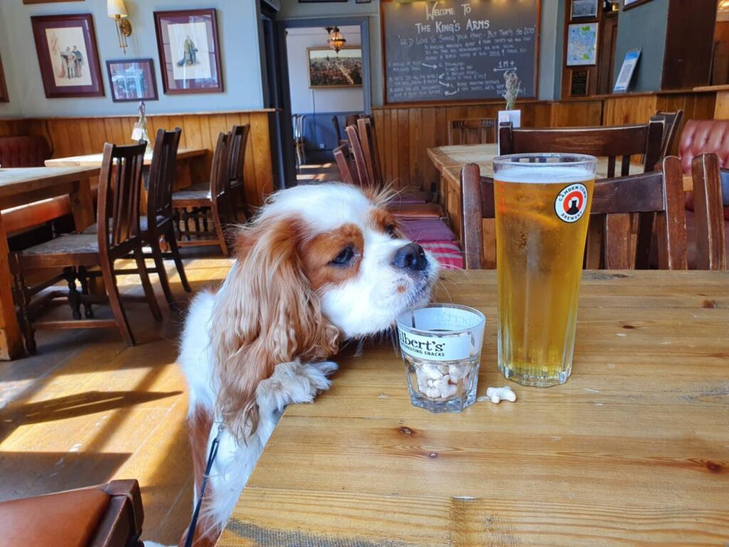 The Kings Arms a Dog friendly pub