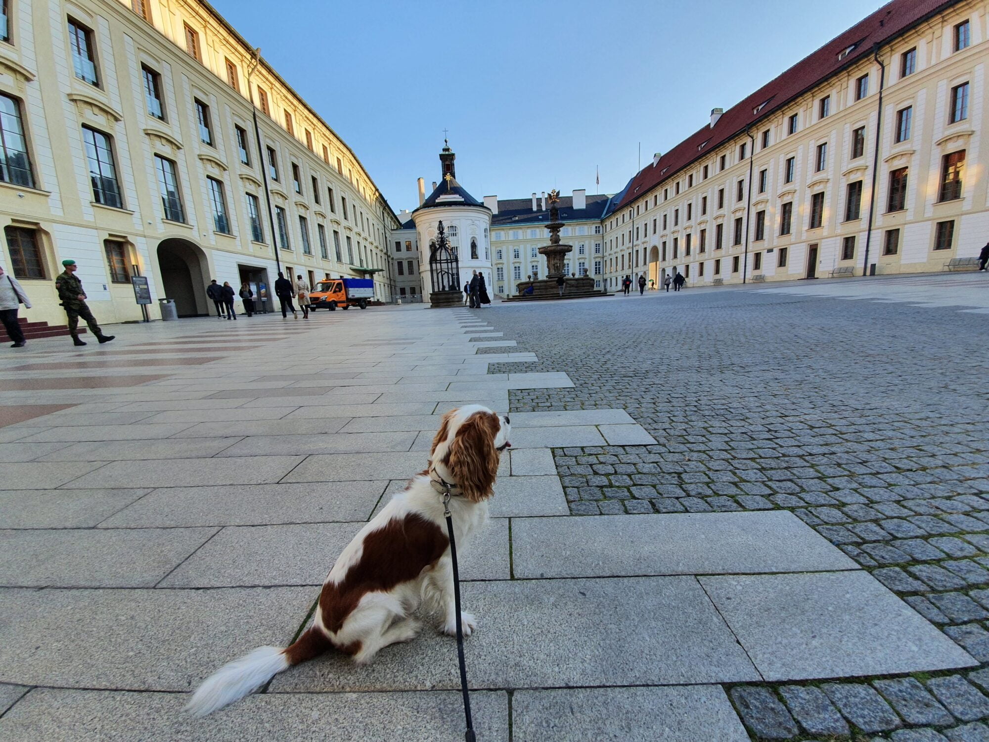 Canine Adventure Prague