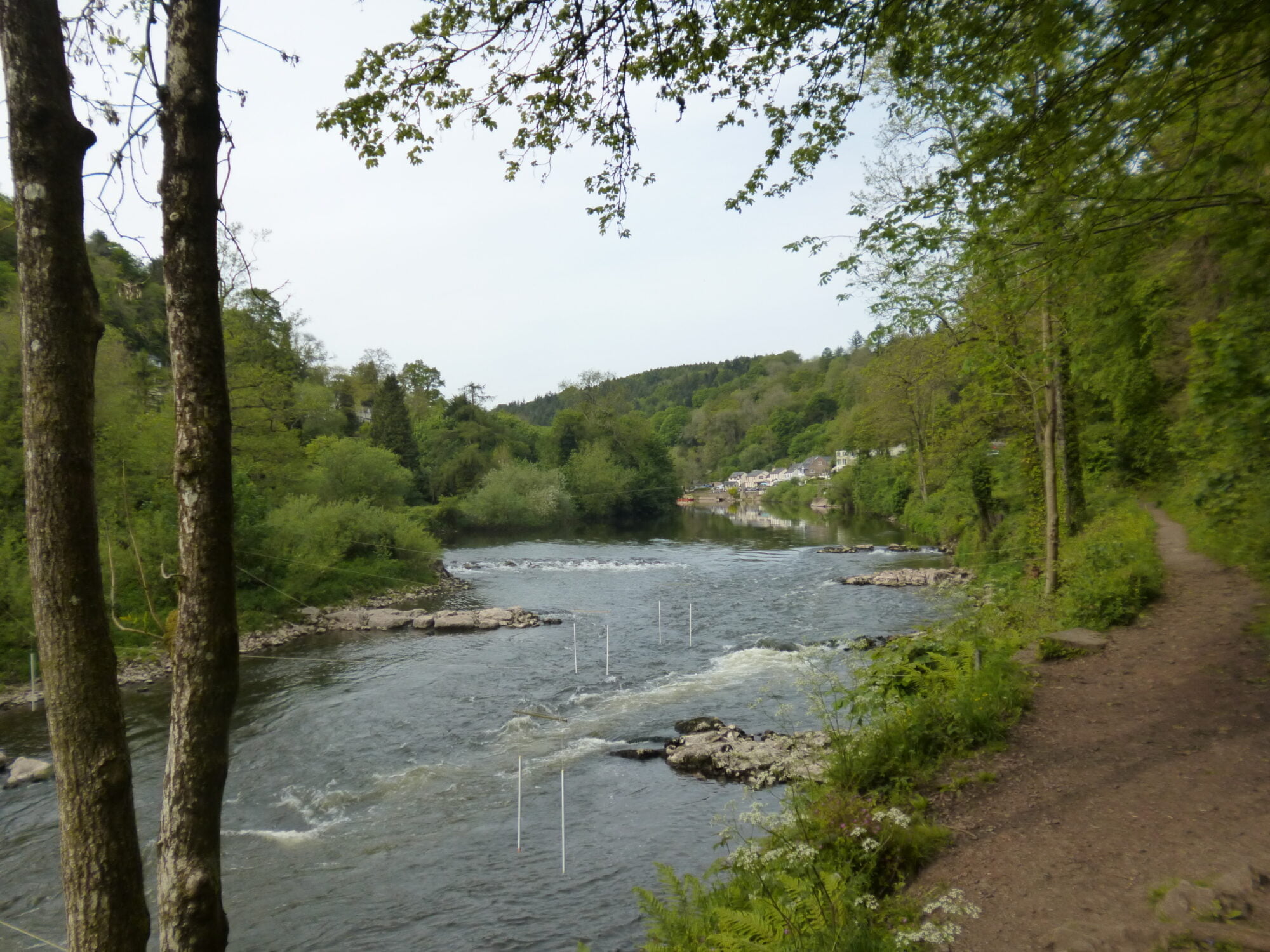 Circular Walks From Symonds Yat