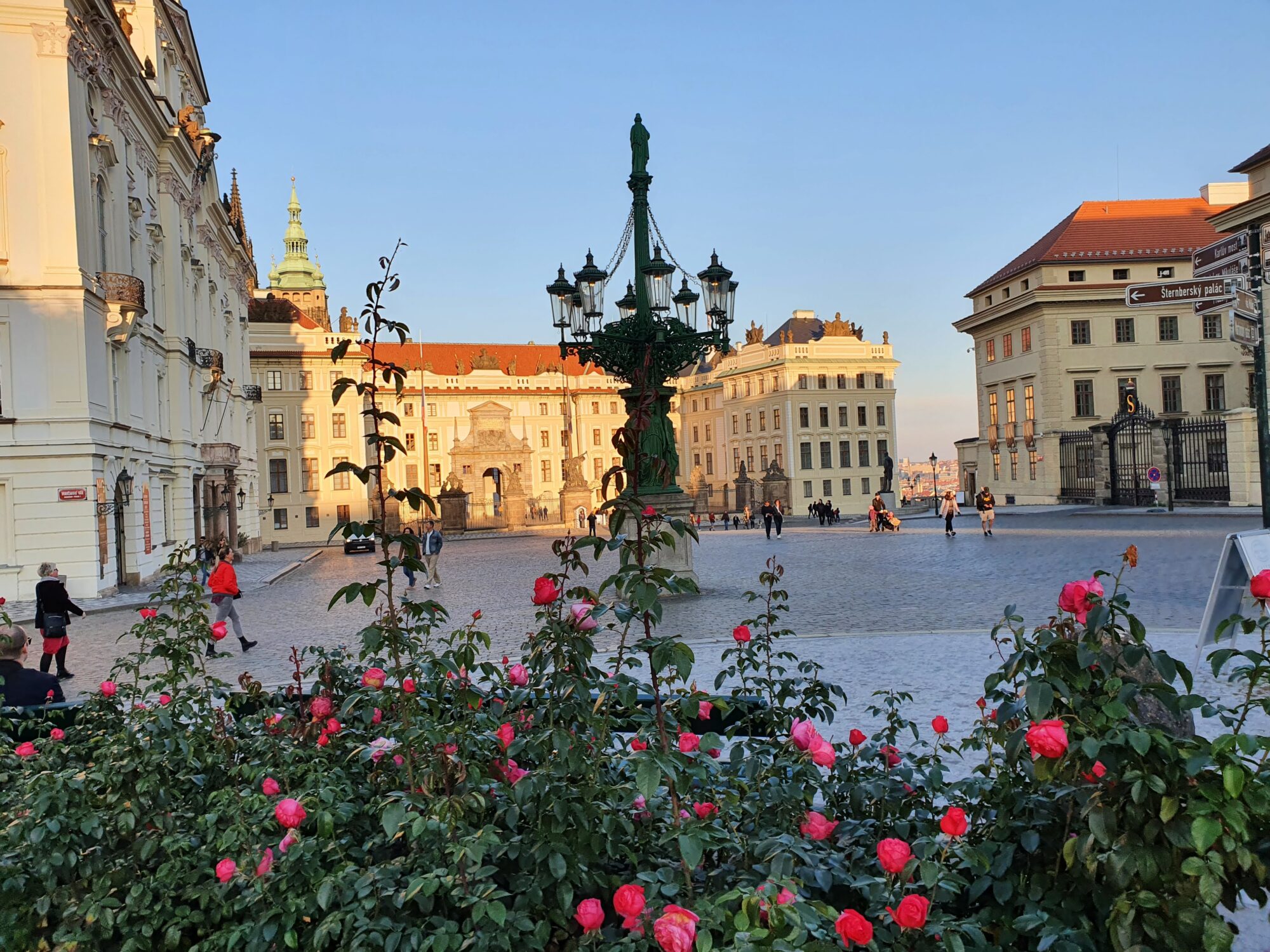Flowers Prague