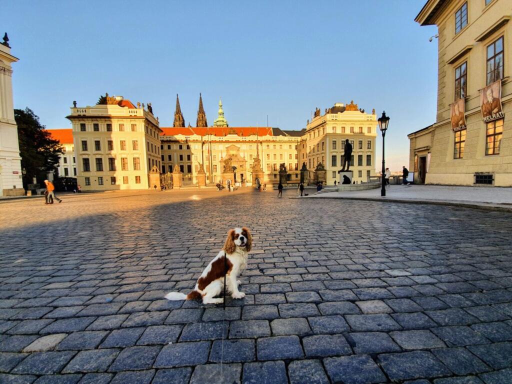Prague Castle