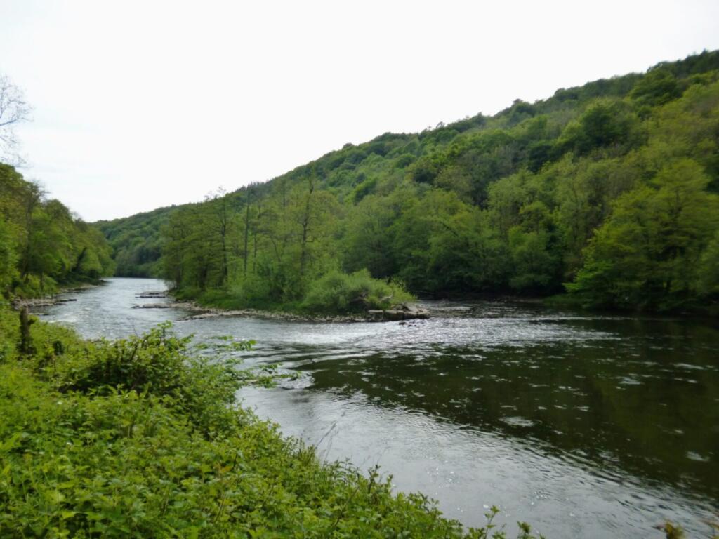 Rapids