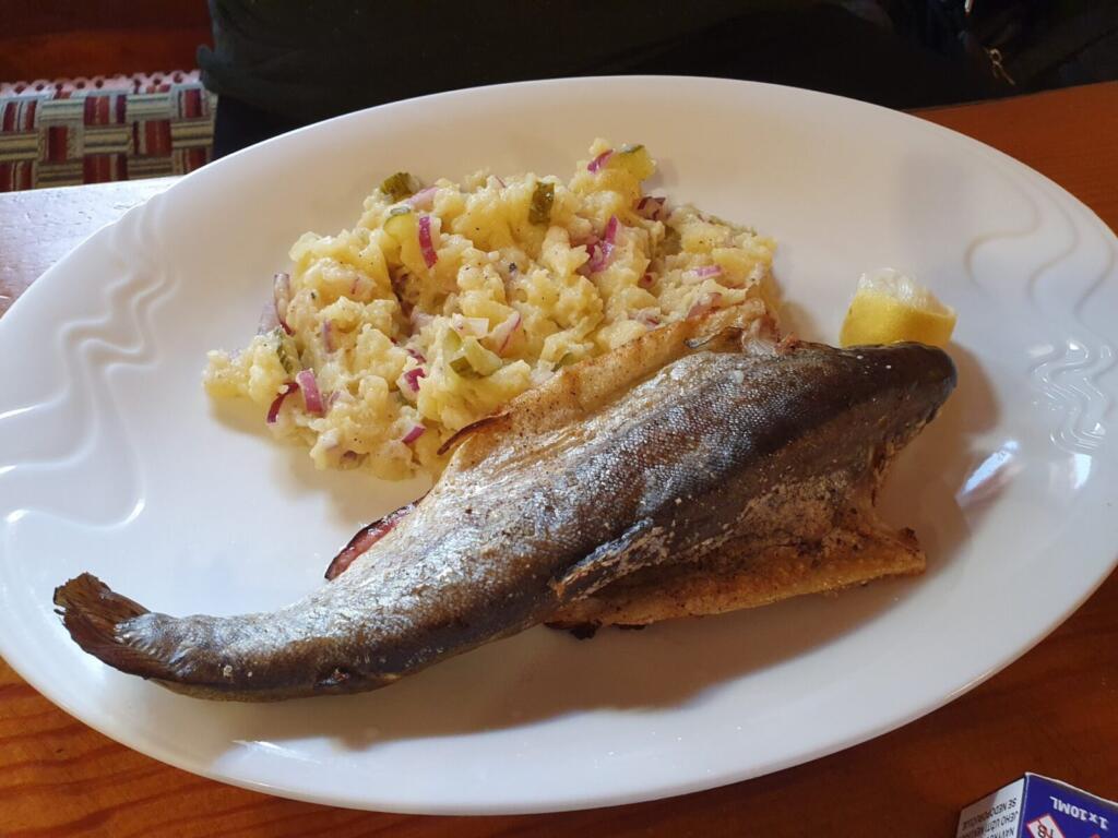 Restaurant Bohemia Carp