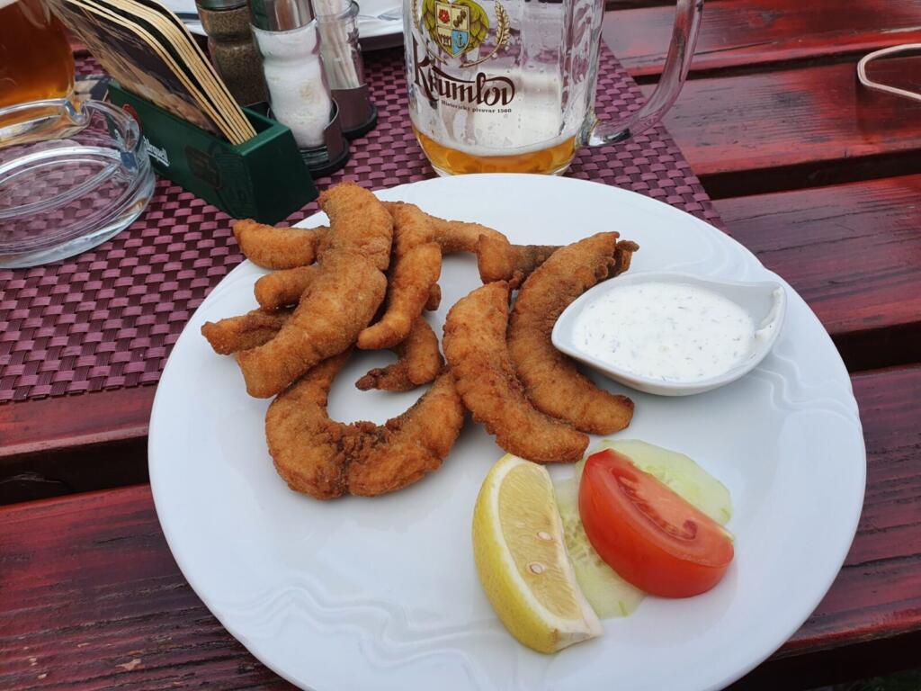 Rožmberská bašta carp