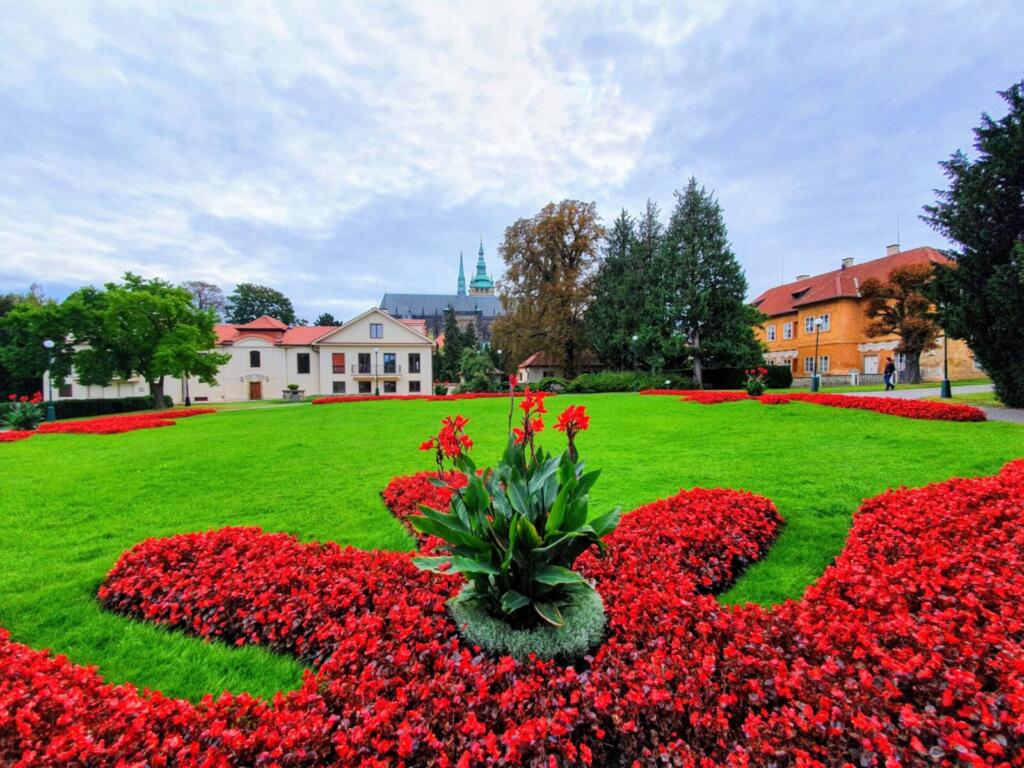 The Royal Garden