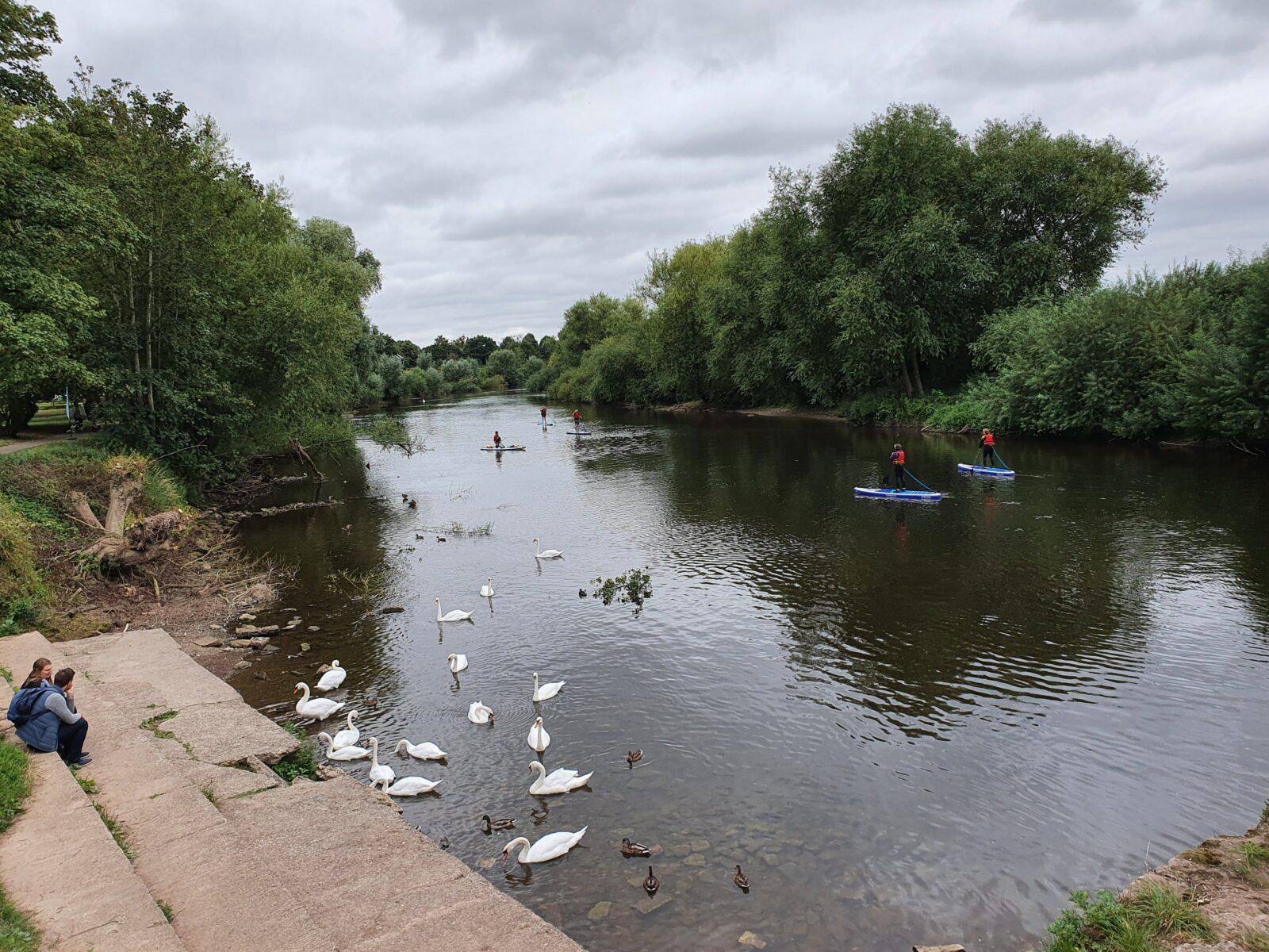 Paddleboarder on the River Wye at Ross-on-Wye