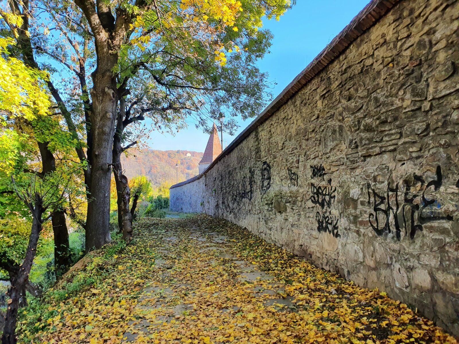 citadel walls autumn