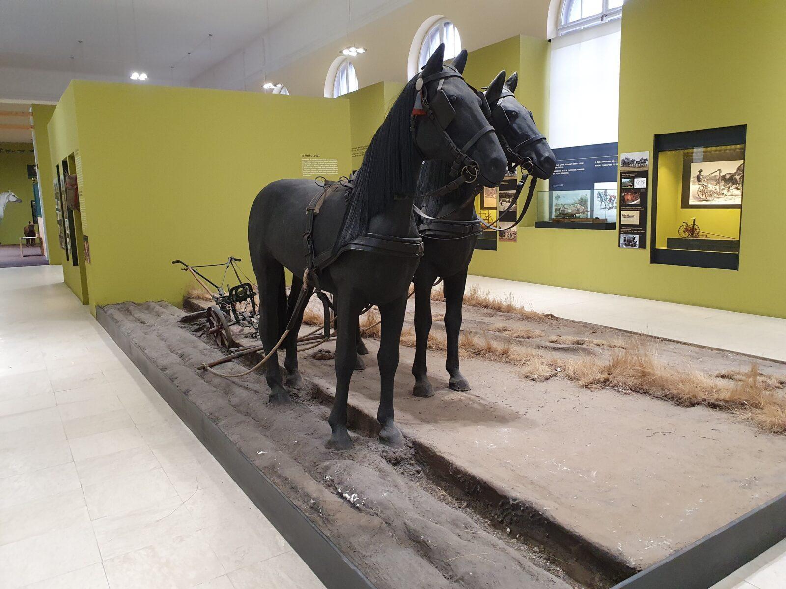 Agriculture Museum