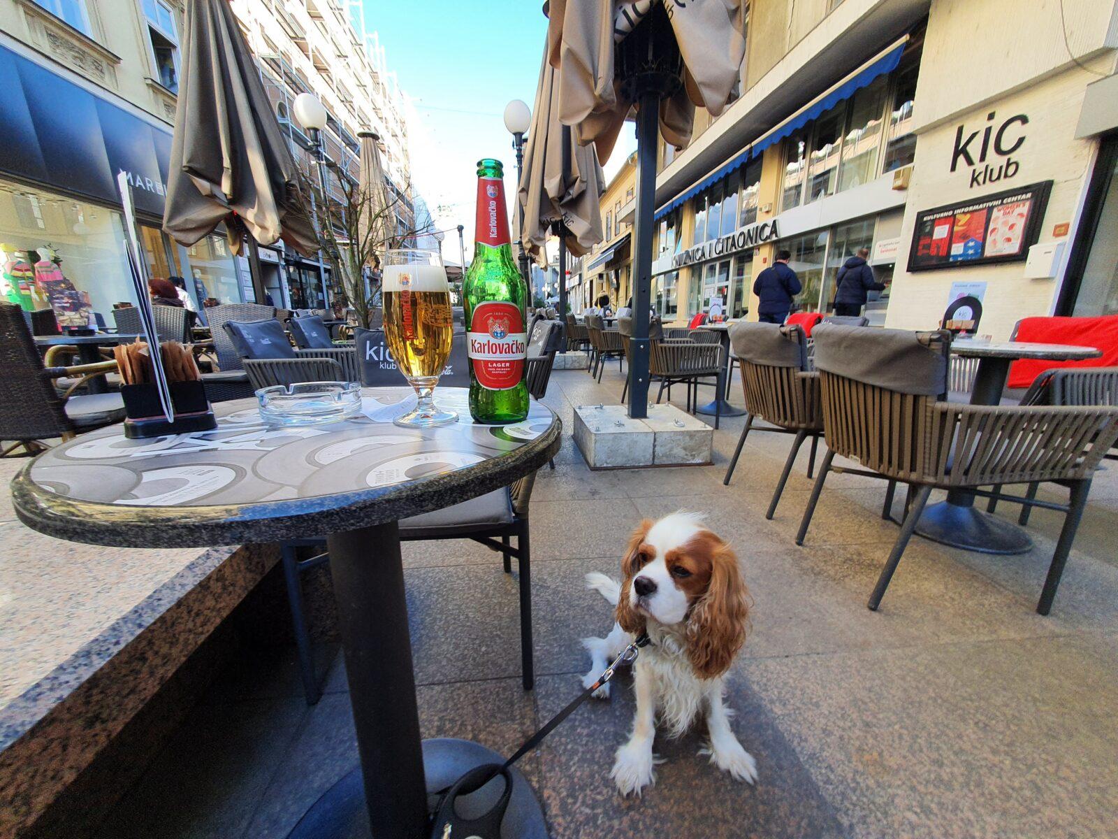 KIC Klub Dog Friendly