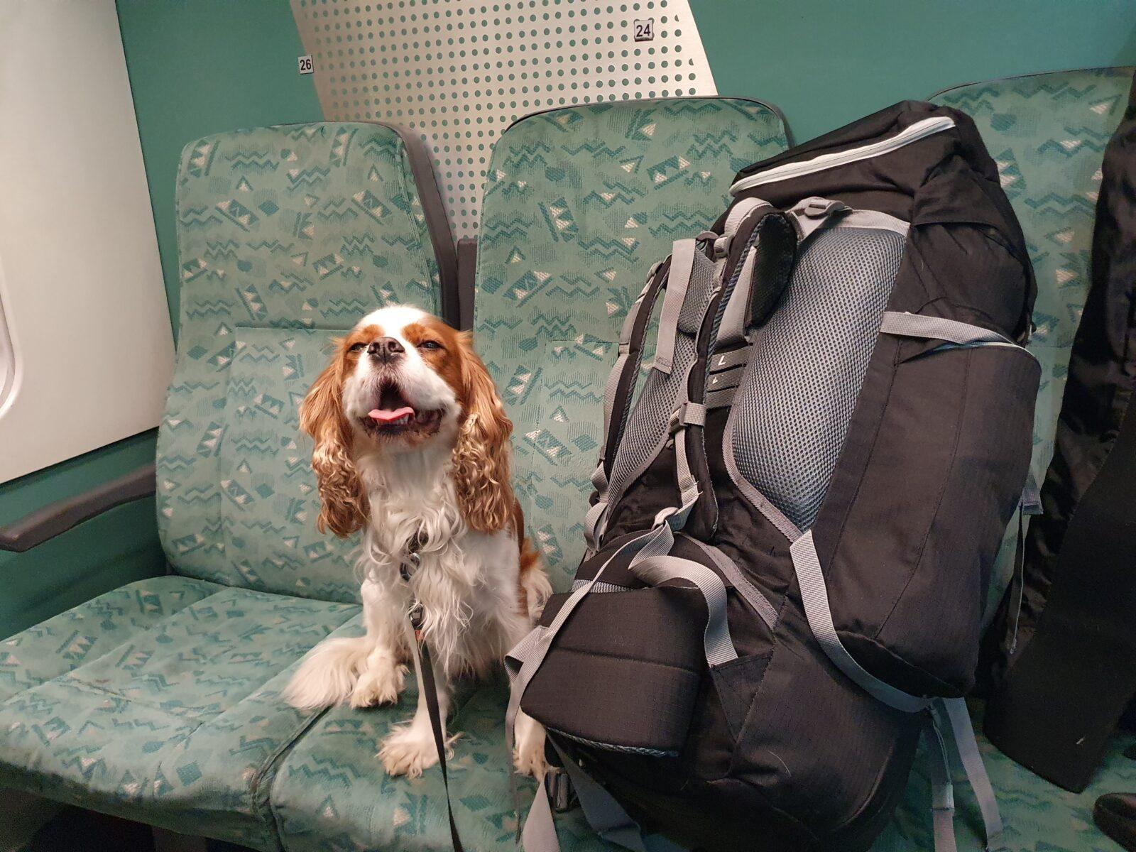 Train Hungary to Croatia