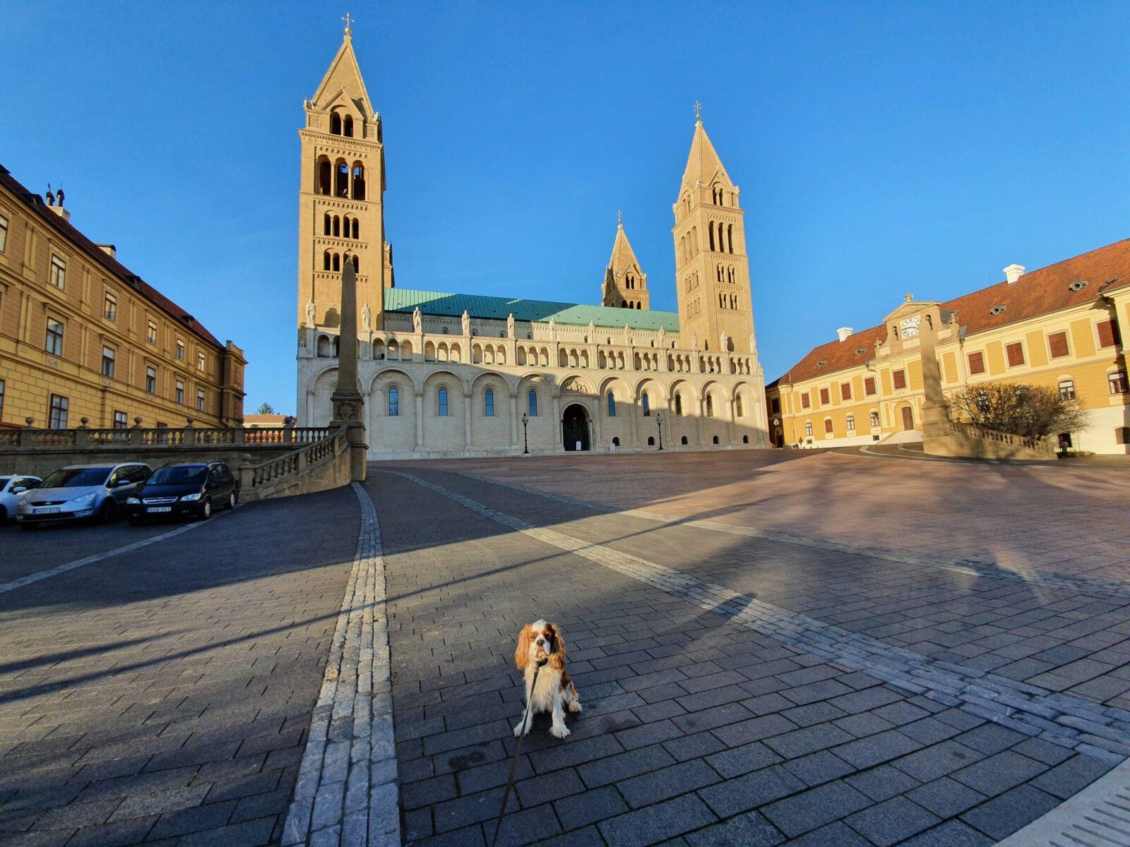 Visit Pecs Hungary with a dog