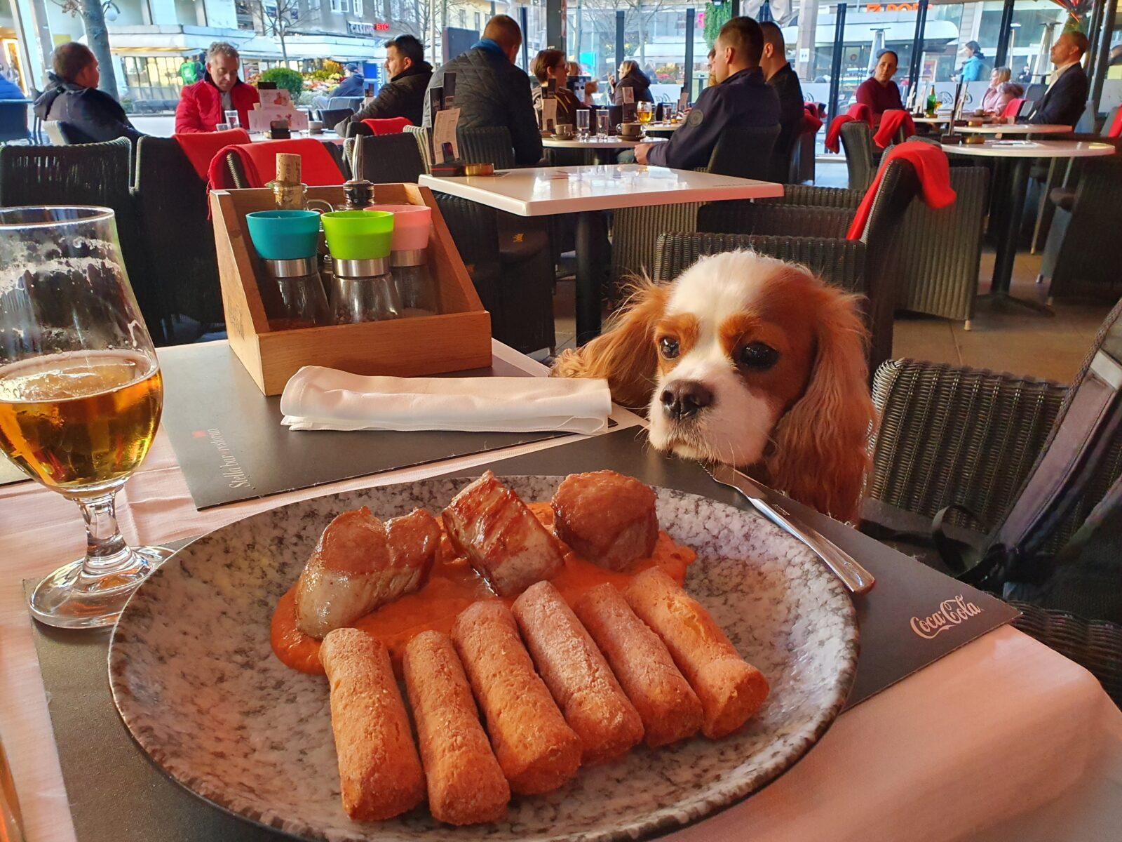 Stella bar Mains