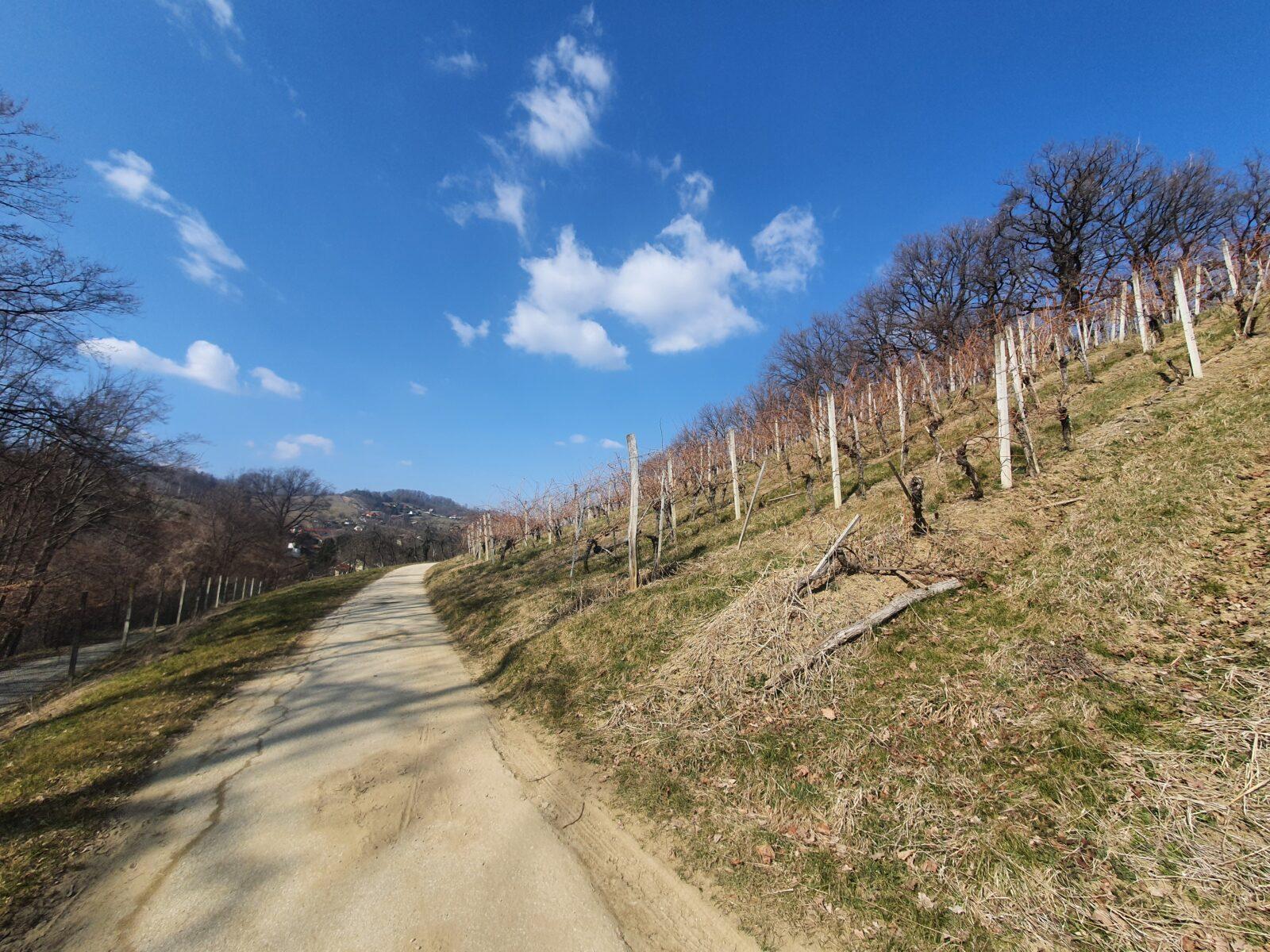 Blogging about dog walks in Europe