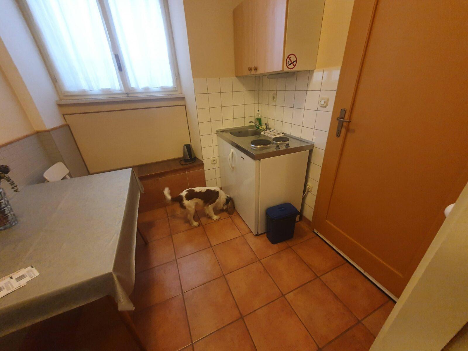 Anthea Apartments Dog Friendly