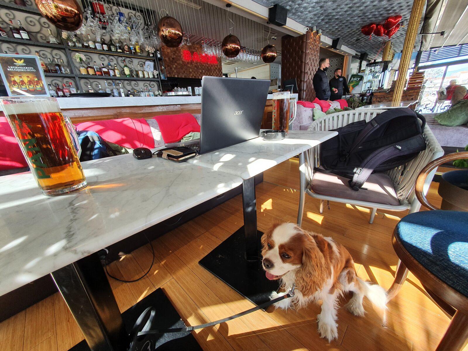 Basta - dog friendly