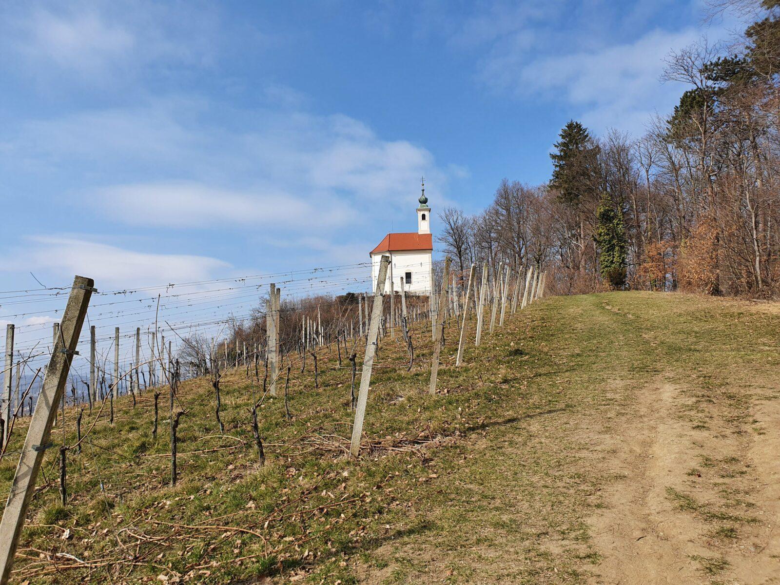 Cerkev svete Barbare na Kalvariji vines
