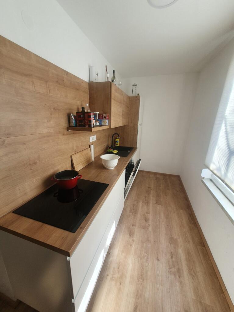 Dog Friendly accommodation in Maribor