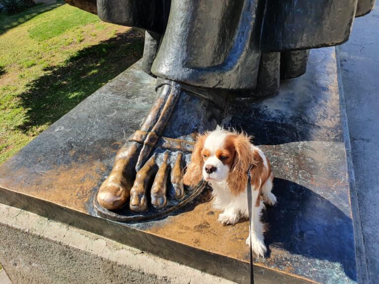 Dog Friendly Split in Croatia