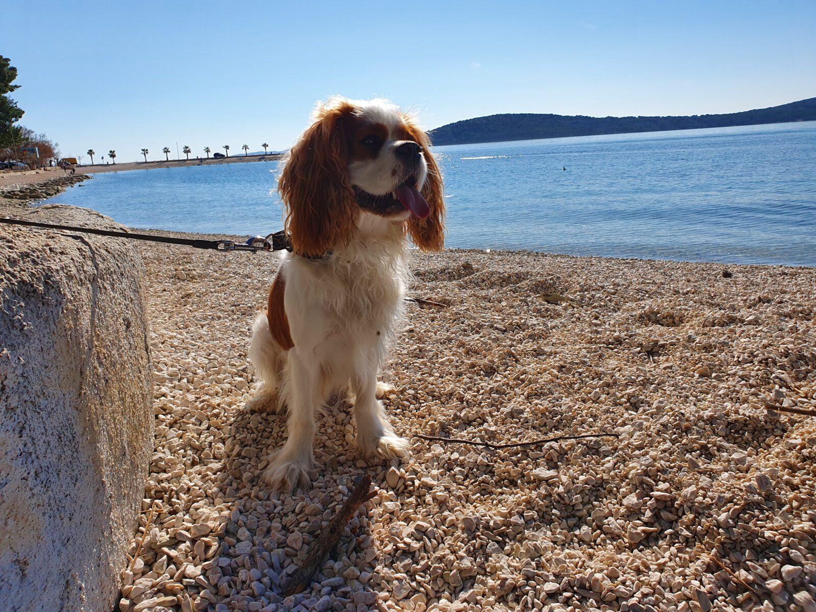 Kasjuni Beach - Henry