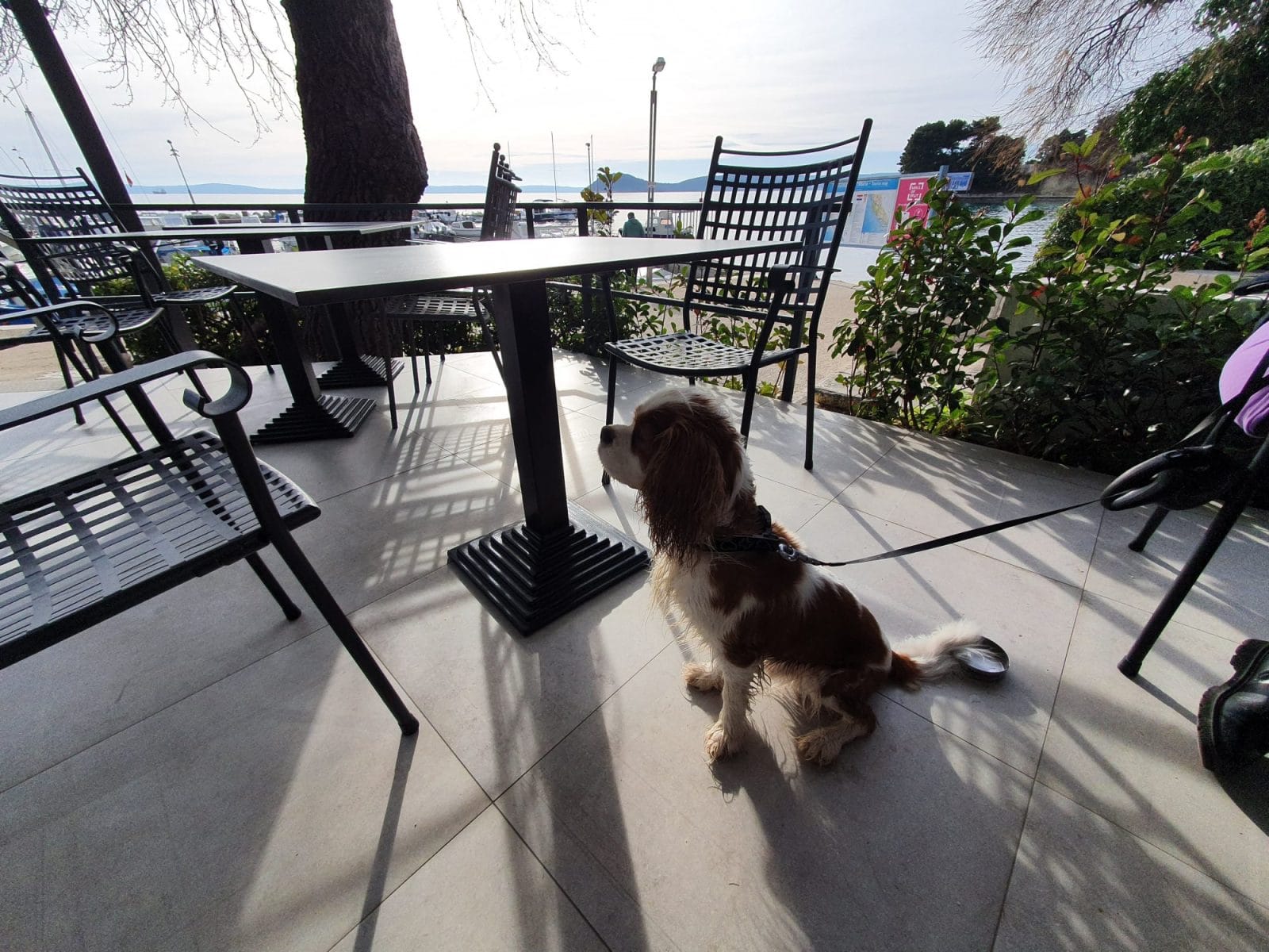 Kavanazona Split Pet Friendly