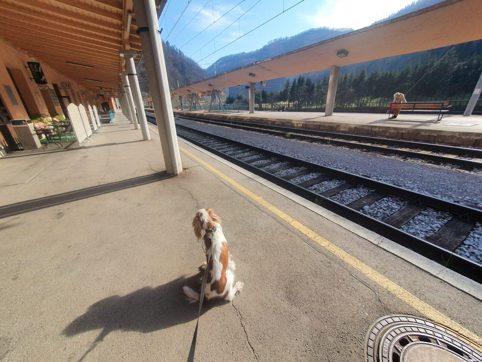 Zidani Most Travelling By Train
