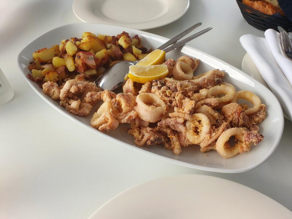 Zona - Squid