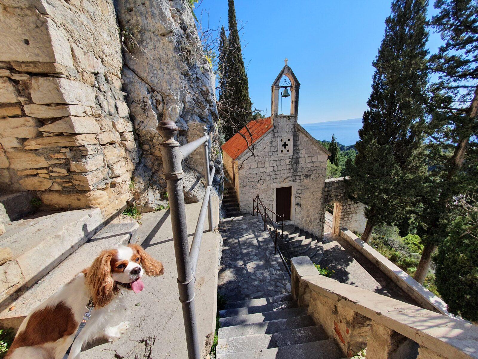 Crkva sv. Jere dog walk