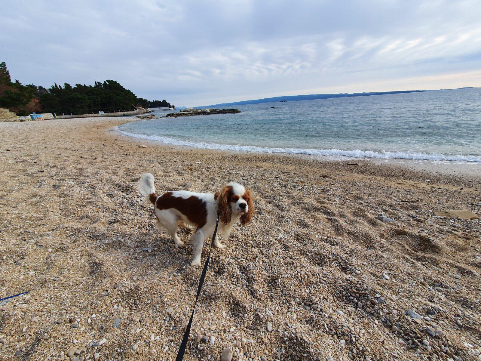 Plaža Ježinac