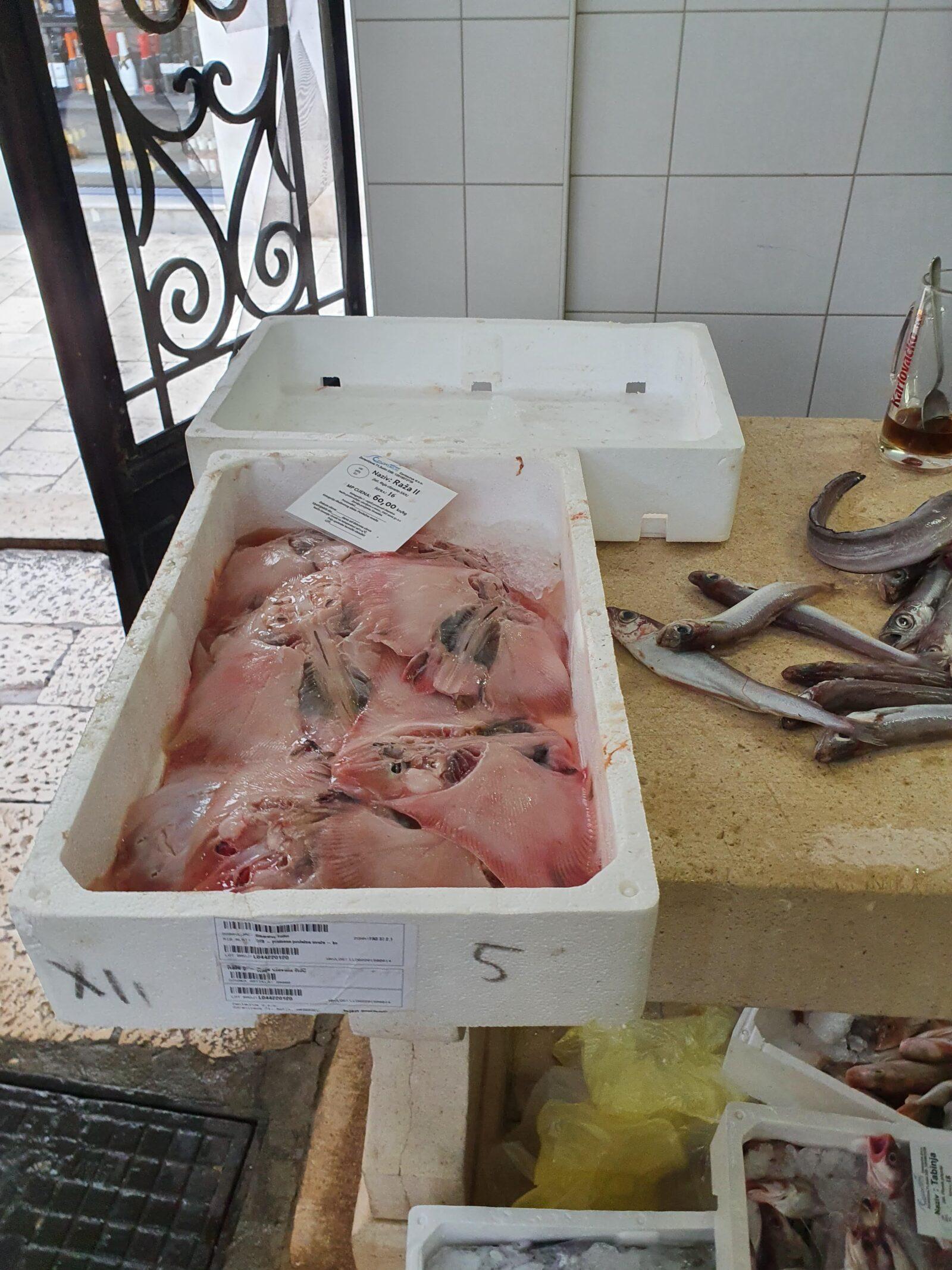 Skate at Split Fish Market