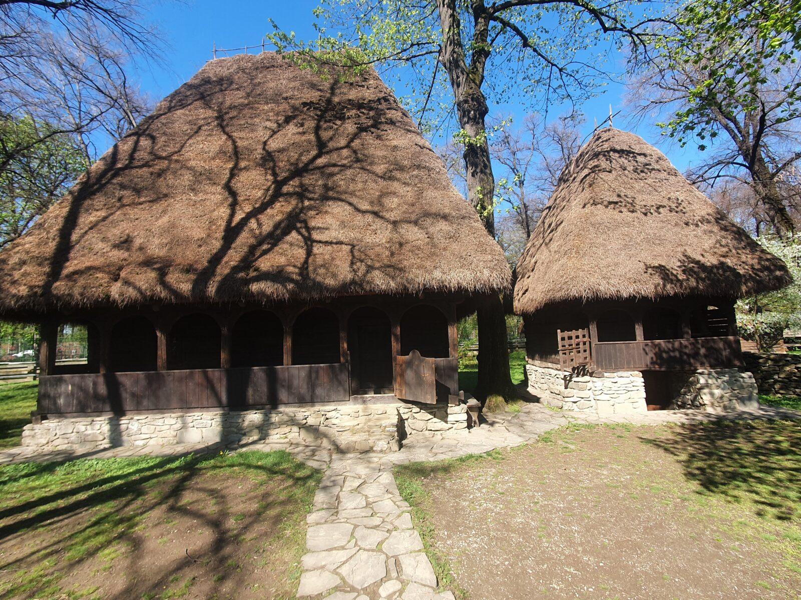 thatched house