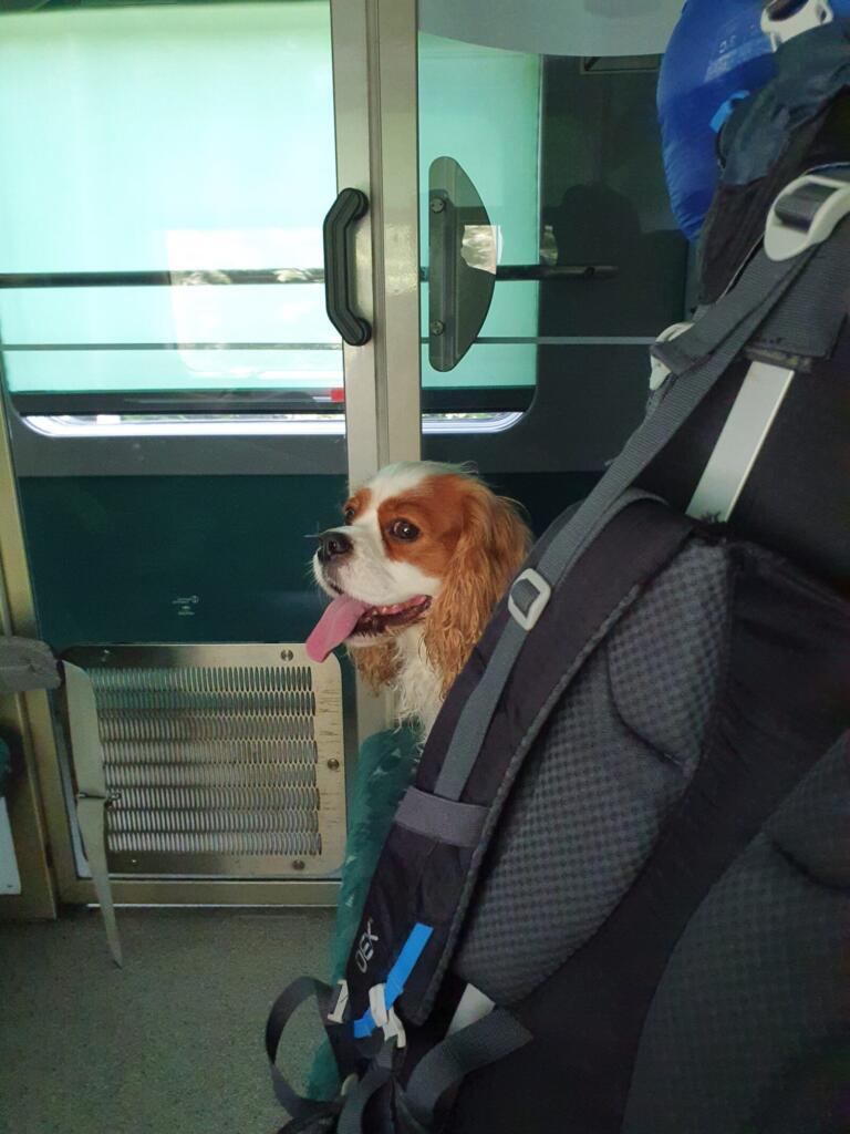 Train travel in Croatia
