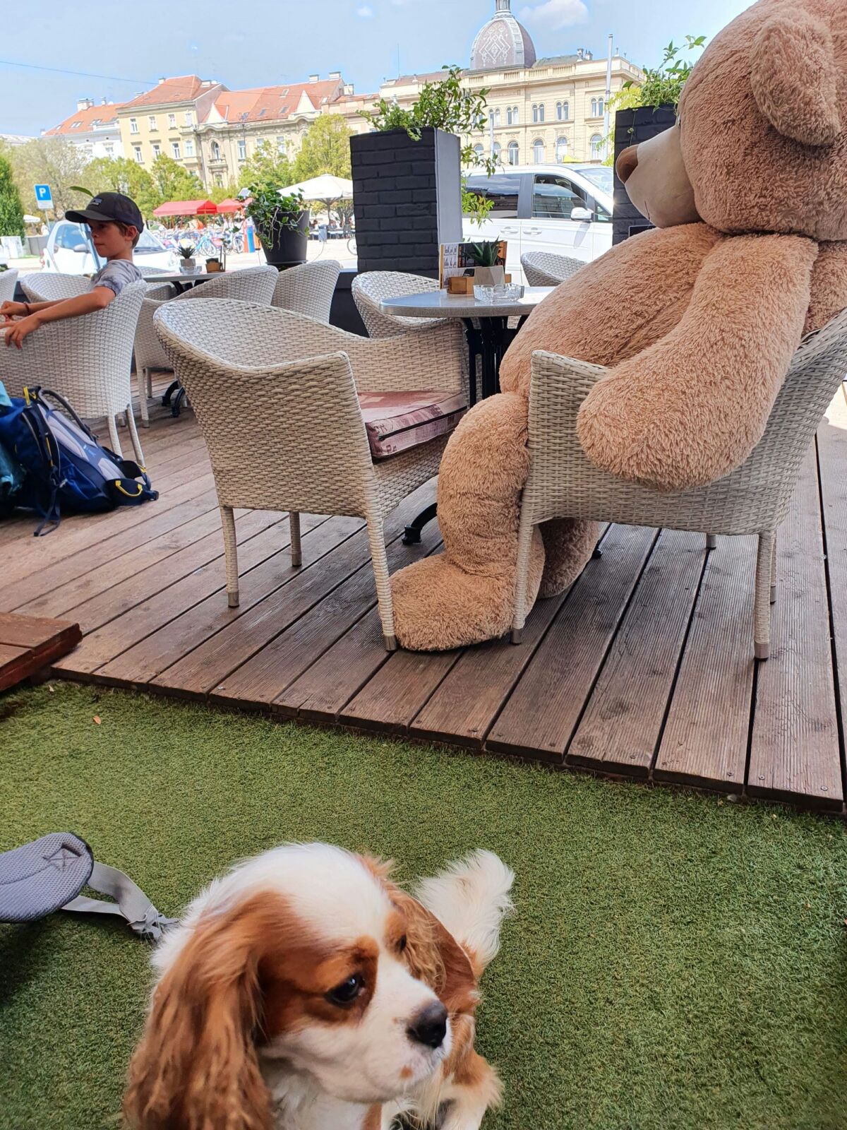 Dog Friendly Garden Bar