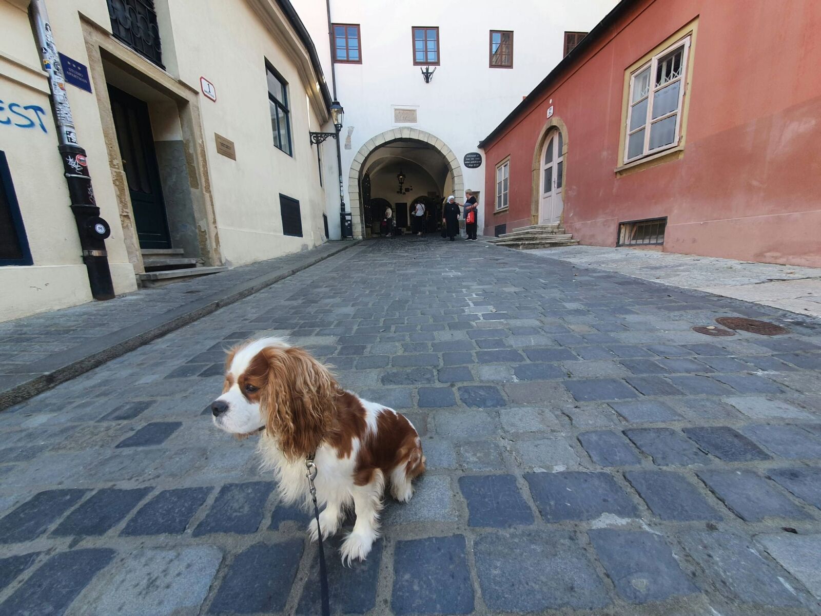 Dog Stone Gate