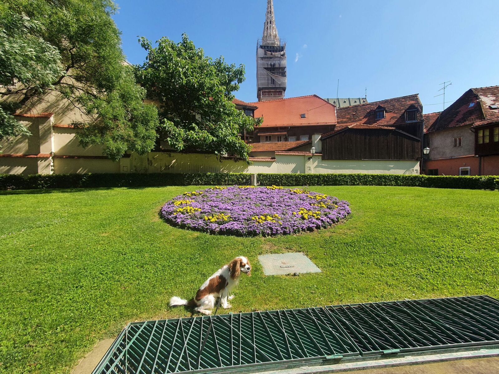 Dog Walk Zagreb