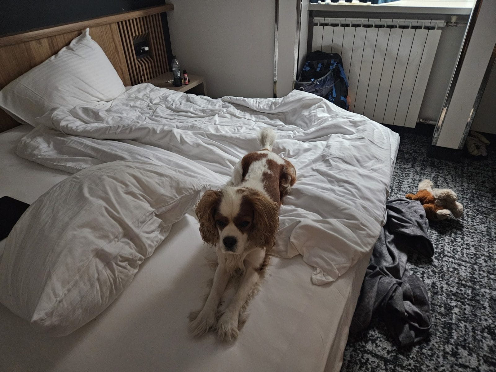 Hotel Central