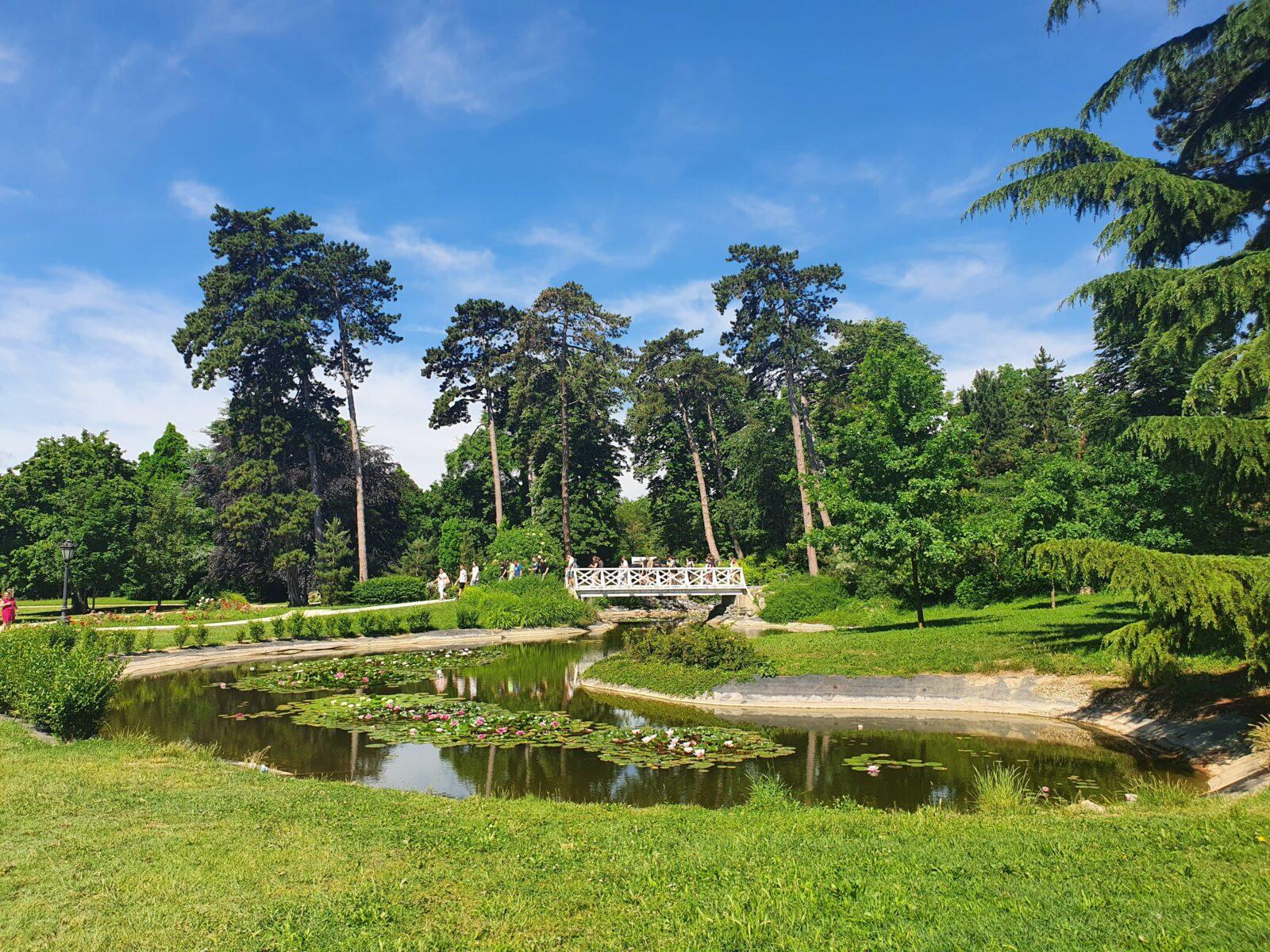 Kastélypark Lake