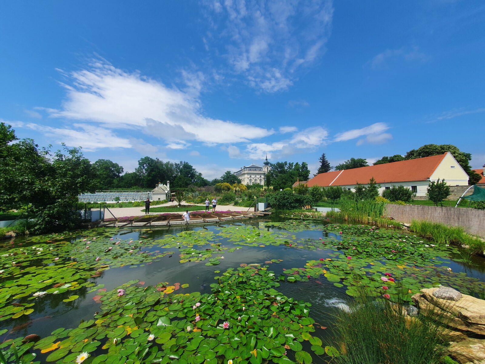 Palm House and Bird Park Pond view