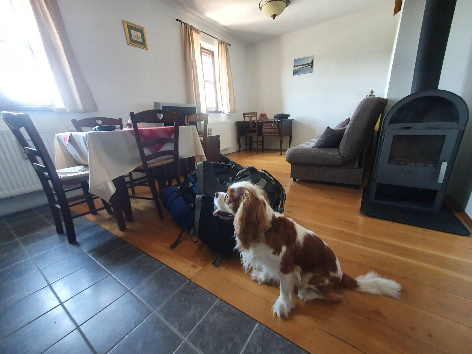 Apartmani Belvedere Fužine Dog