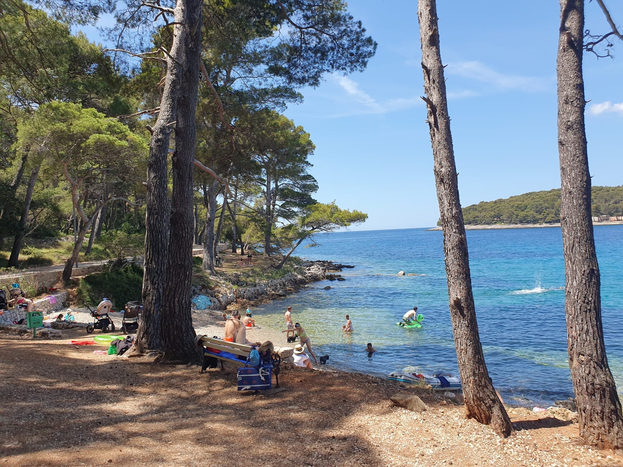 Čikat Dog Beach - Plaža za pse