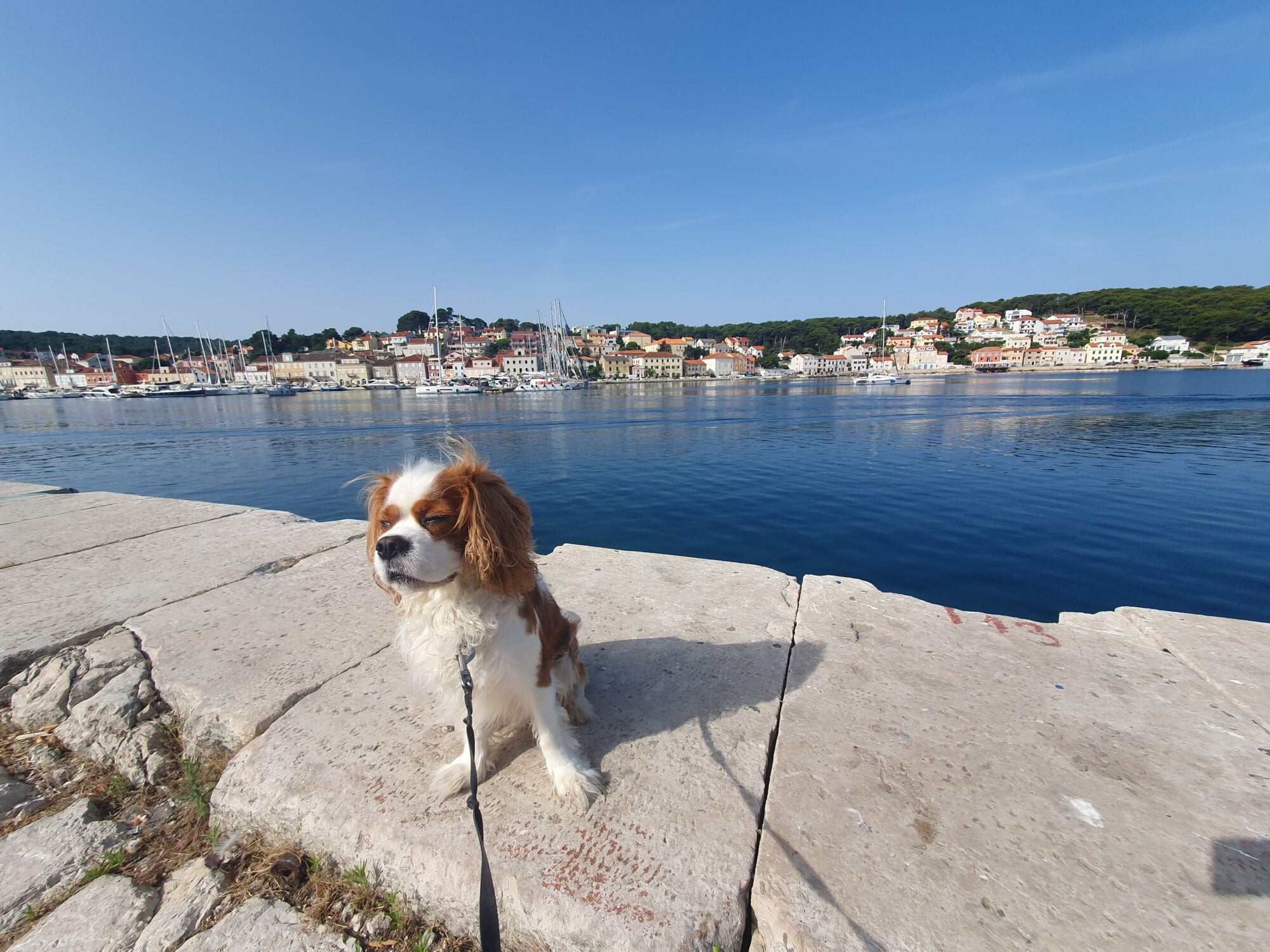 Dog Friendly Mali Losinj