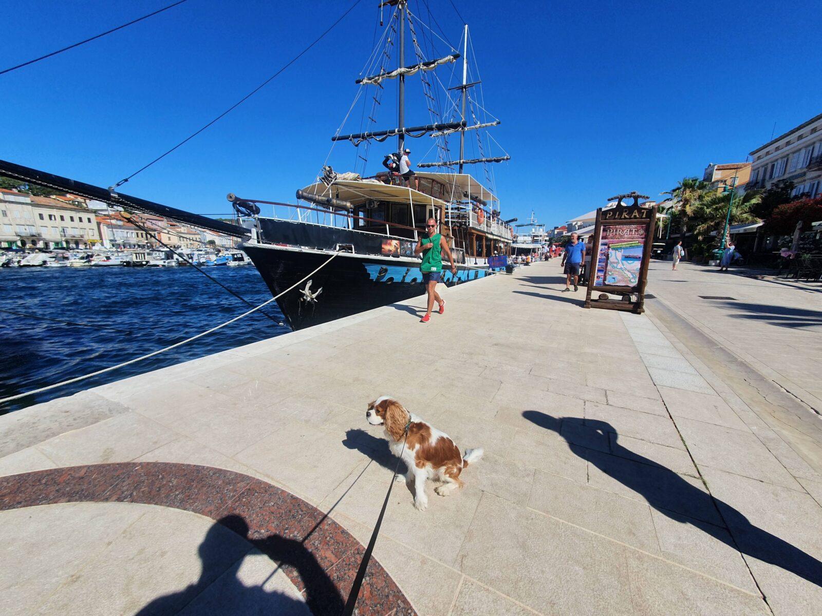 Dog Pirate Ship Harbour Mali Losinj