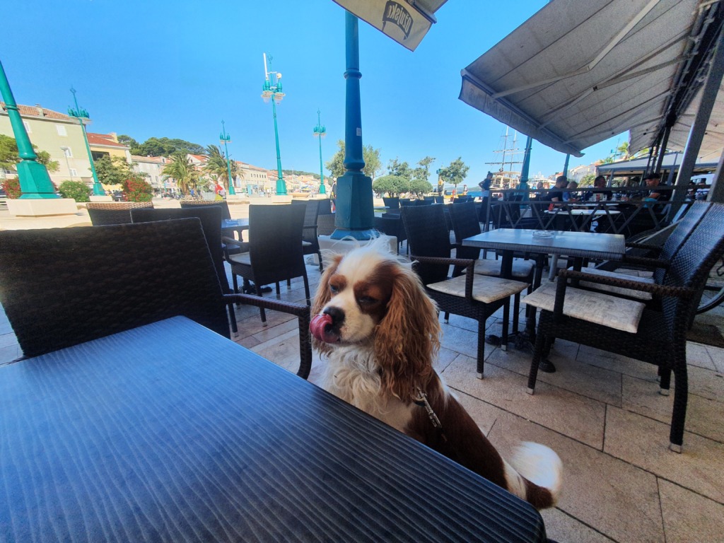 Fast Food Piccolo Paradiso - Dog Friendly