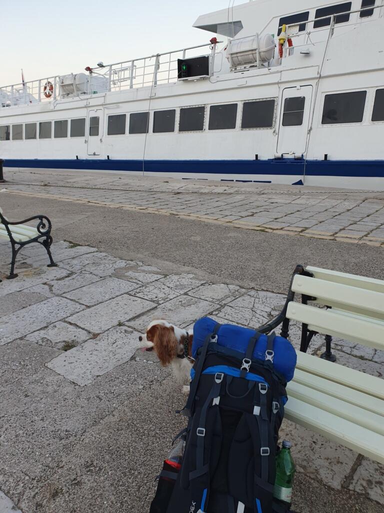 Ferry Travel With a Dog Europe
