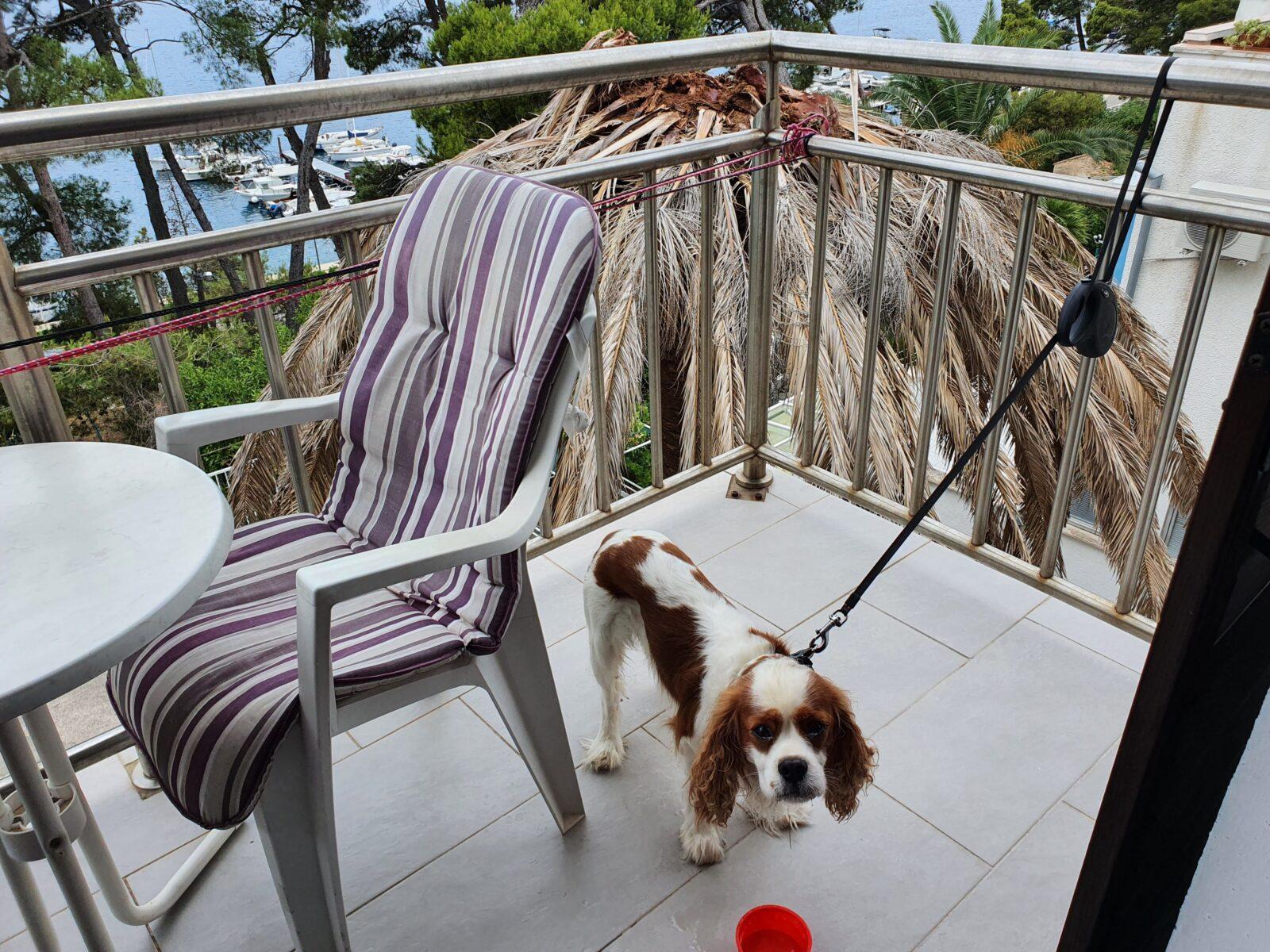 Guest House Lara Dog Friendly