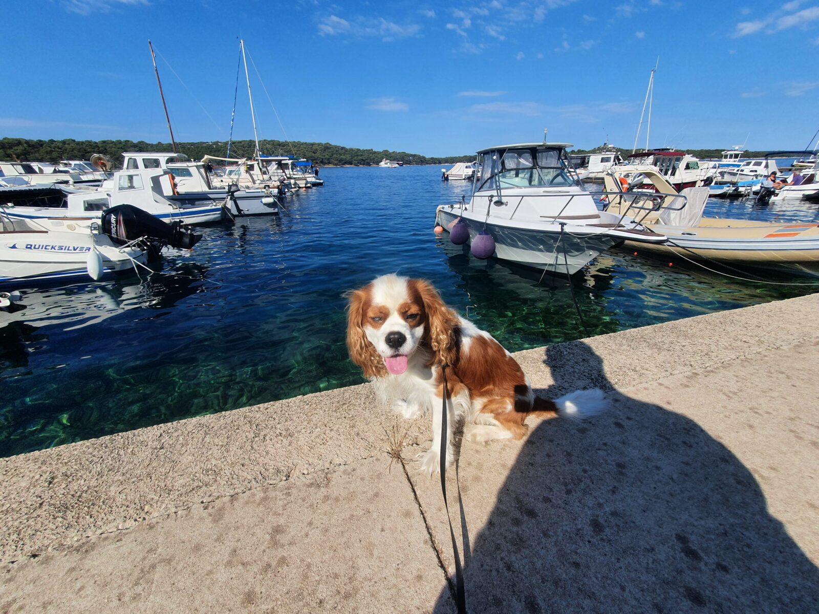 Henry Boats