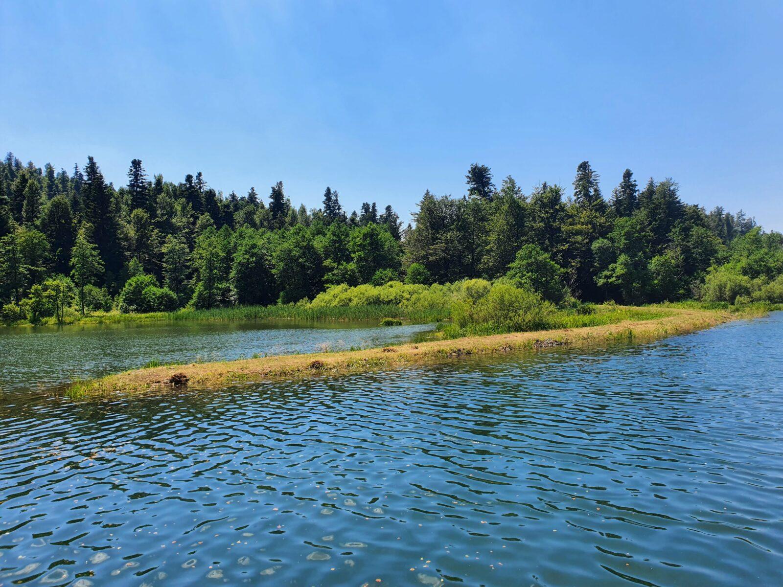 Lake Peninsula