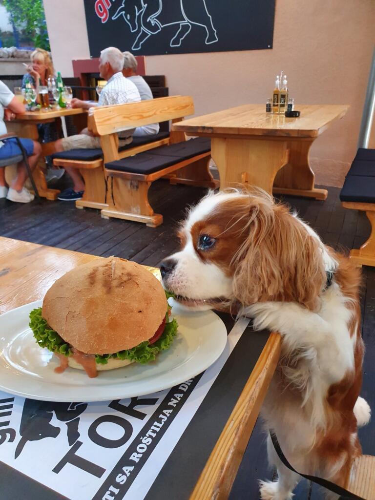 Toro Grill dog Friendly Mali Losinj