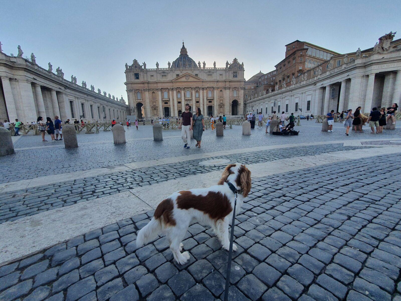 Vatican City while travelling with a dog