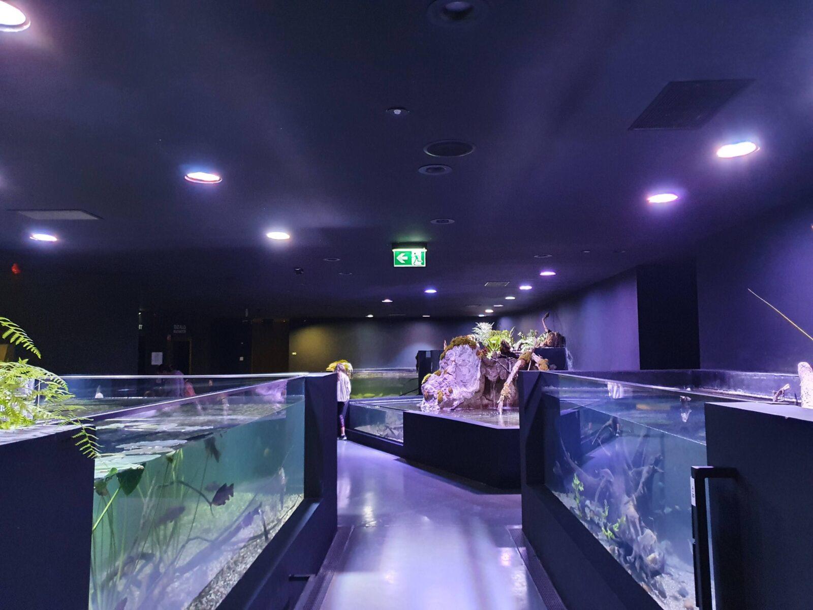 Aquatika a Tourist Attraction in Karlovac